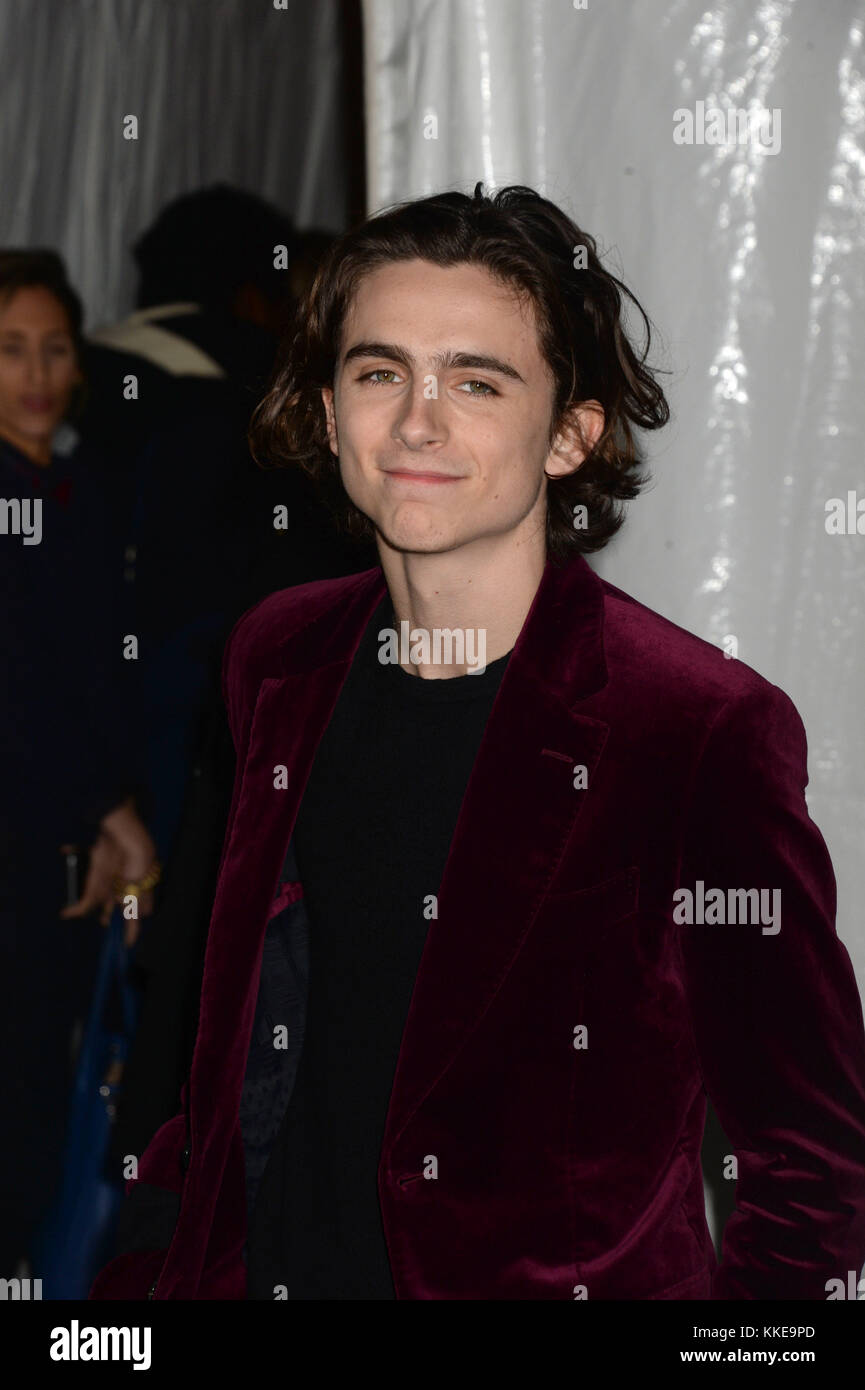 NEW YORK, NY - NOVEMBER 27: Timothee Chalamet attends the 2017 IFP Gotham  Awards at Cipriani Wall Street on November 27, 2017 in New York City.  People: Timothee Chalamet Stock Photo - Alamy