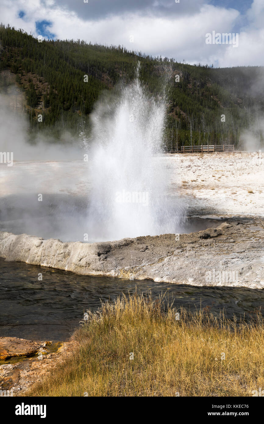Cliff Geyser Thermal Feature erupting in Black Sand Geyser Basin ...