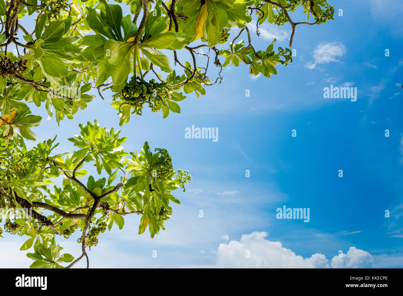 Feydhoo Finolhu Maldives Stock Photo - Alamy