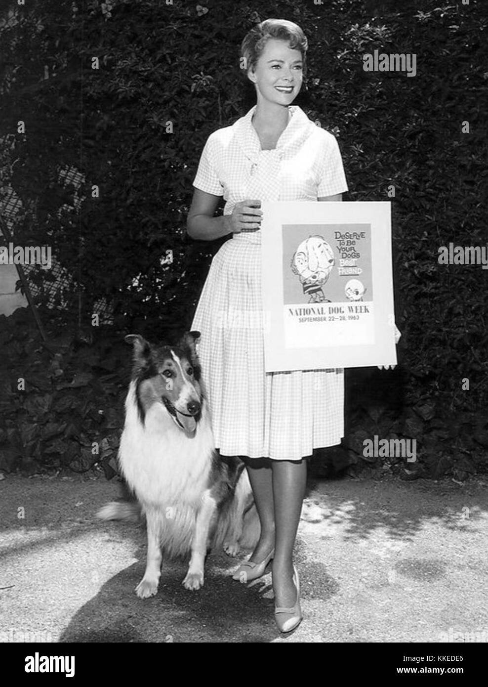 June Lockhart Lassie National Dog Week 1963 Stock Photo