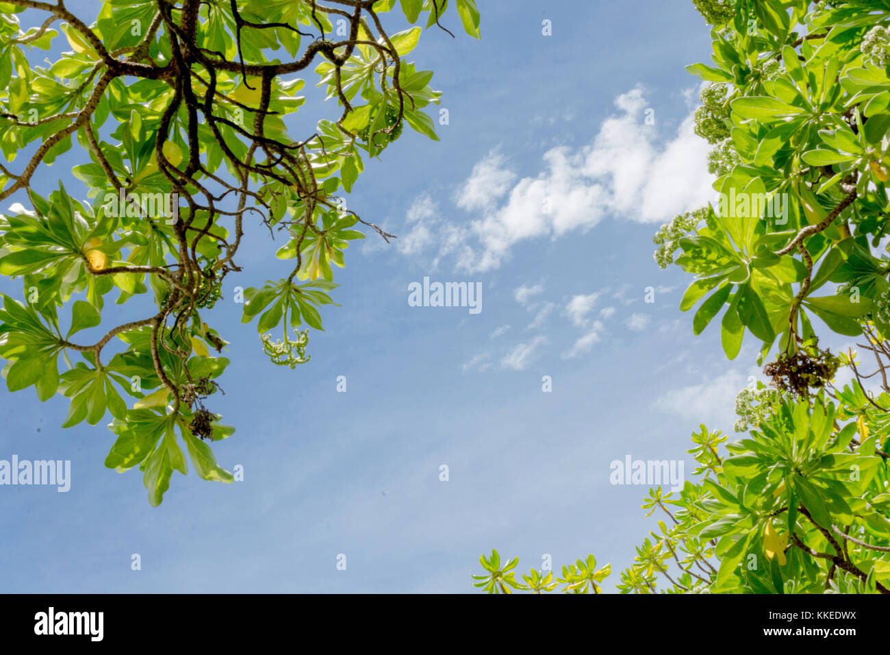 Feydhoo Finolhu Maldives Stock Photo - Alamy