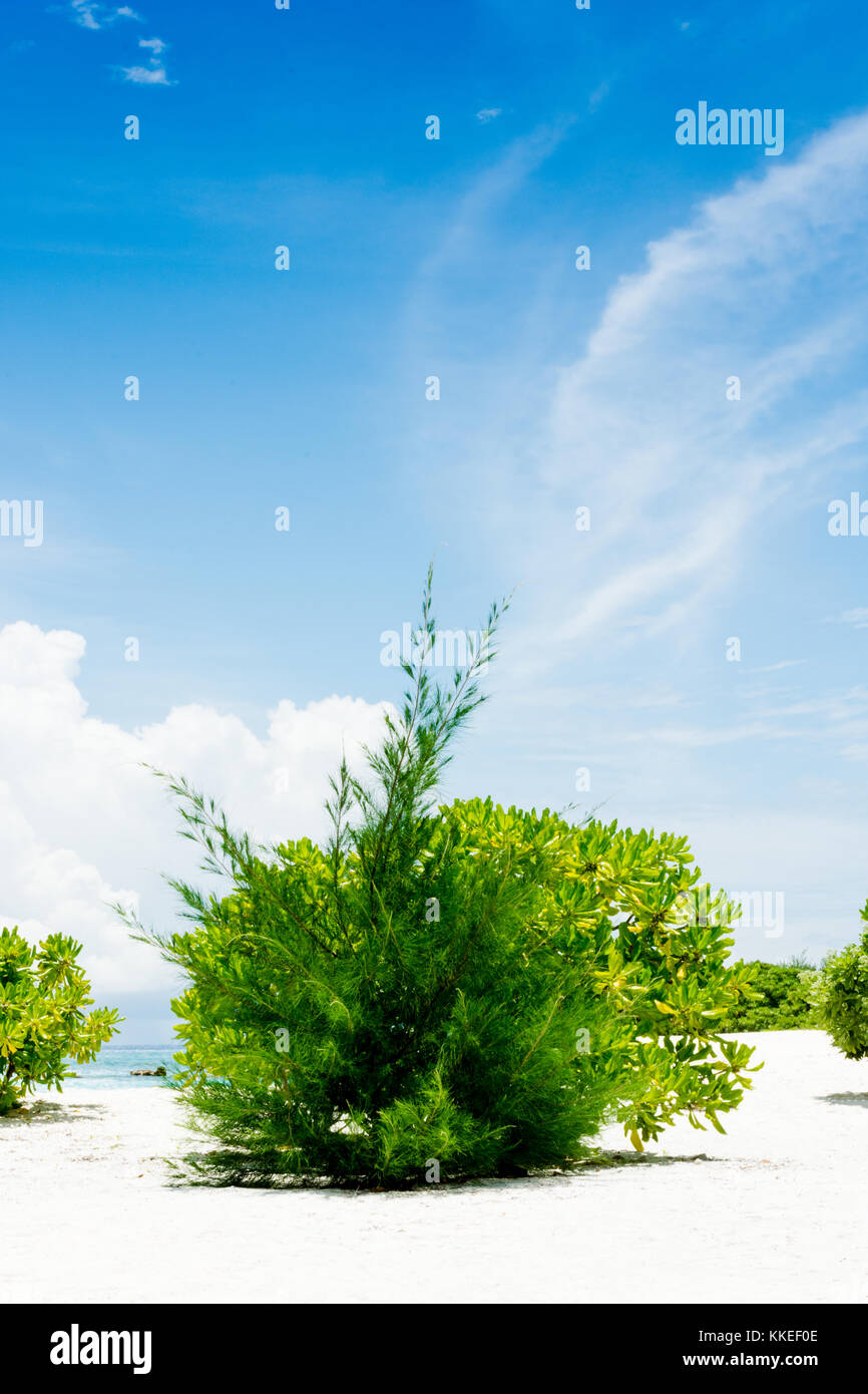 Feydhoo Finolhu Maldives Stock Photo - Alamy