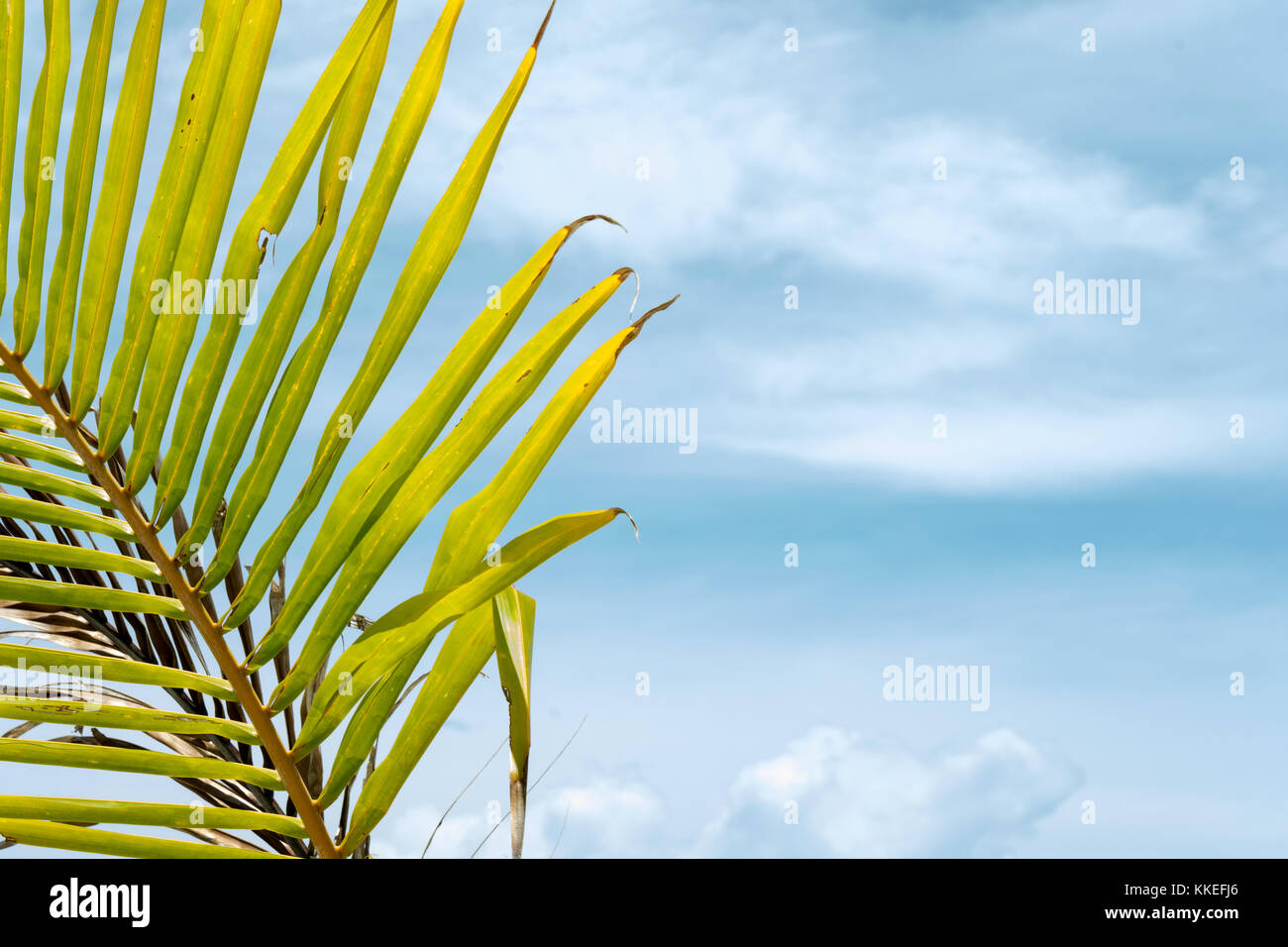 Feydhoo Finolhu Maldives Stock Photo - Alamy