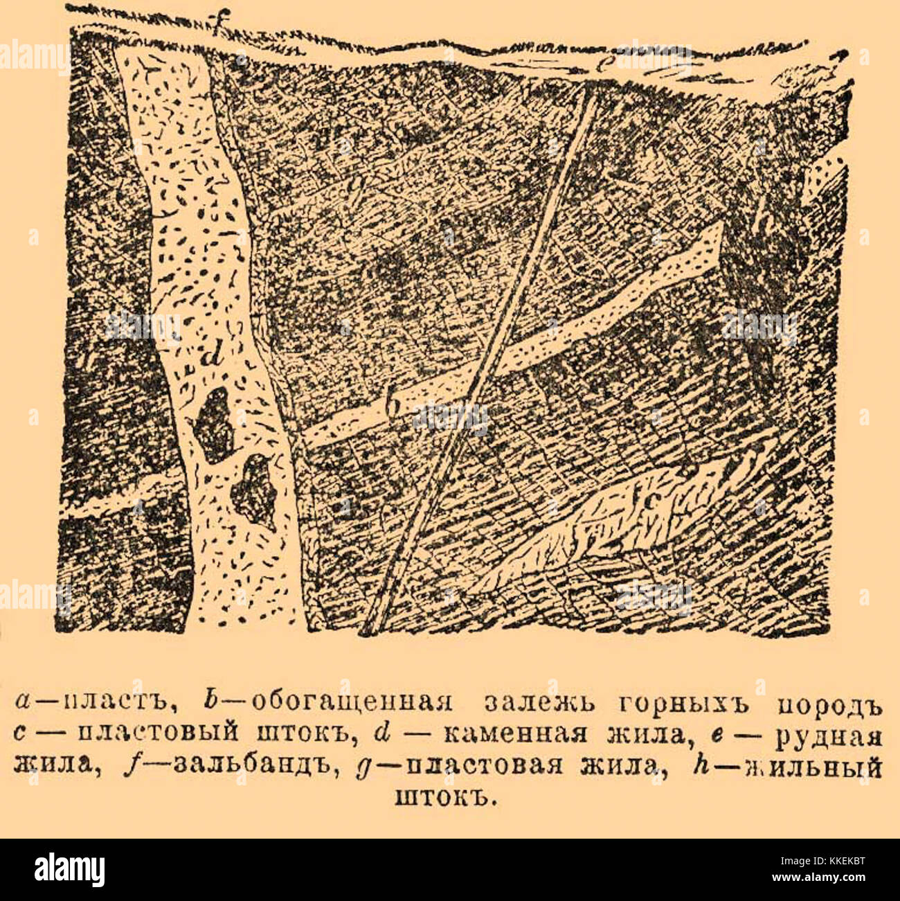 Жила в горной породе. Жилы устаревшее. Сухой лог золоторудное месторождение. Жила (геология). Значения устаревших слов словарь.