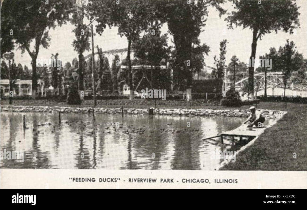 Duck Pond Riverview Park Chicago Stock Photo