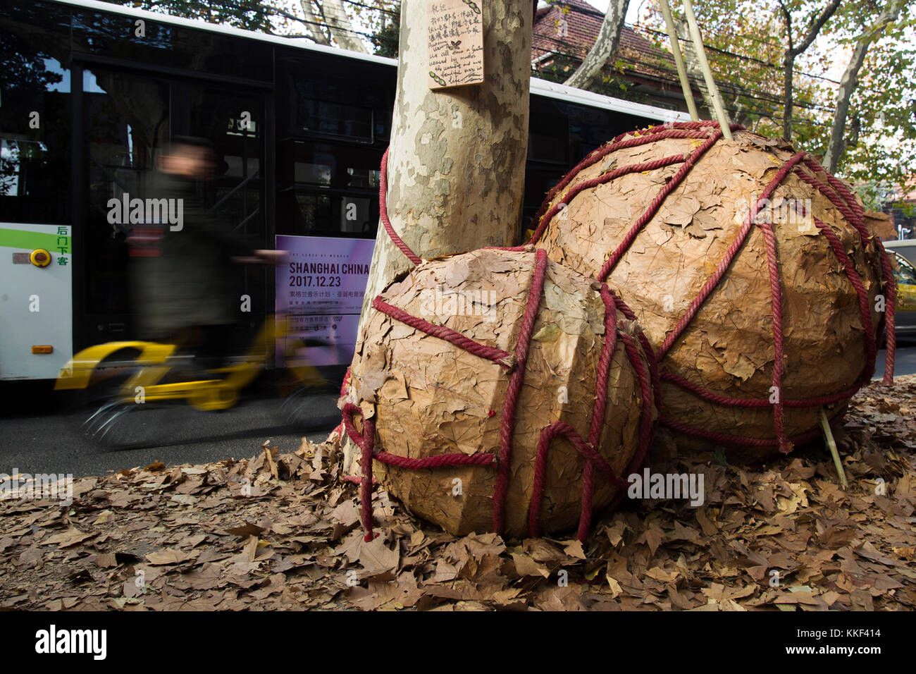 Shanghai, China. 3rd Dec, 2017. Art works made of fallen leaves of phoenix trees are seen on Yueyang Road in Shanghai, east China, Dec. 3, 2017. Credit: Du Xiaoyi/Xinhua/Alamy Live News Stock Photo
