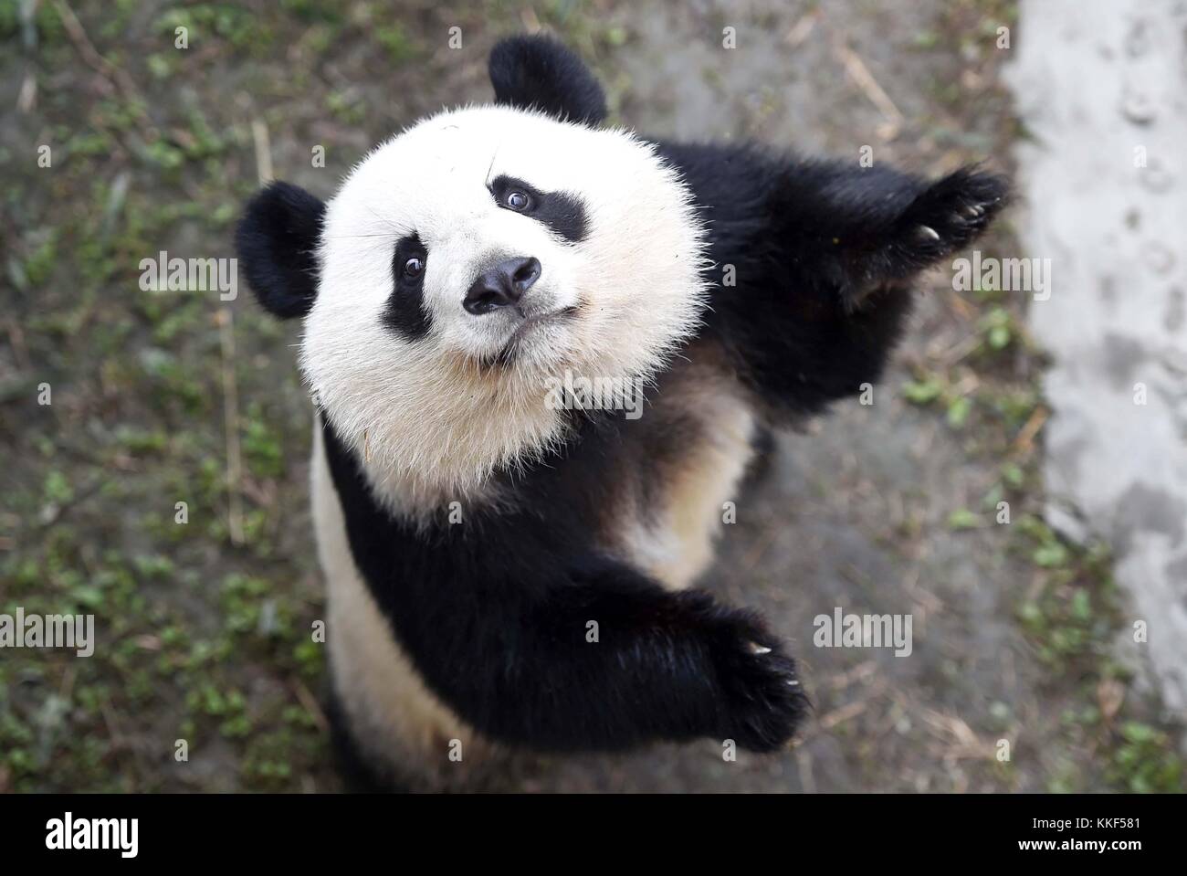 (171204) -- BEIJING, Dec. 4, 2017 (Xinhua) -- Photo taken on Dec. 6 ...