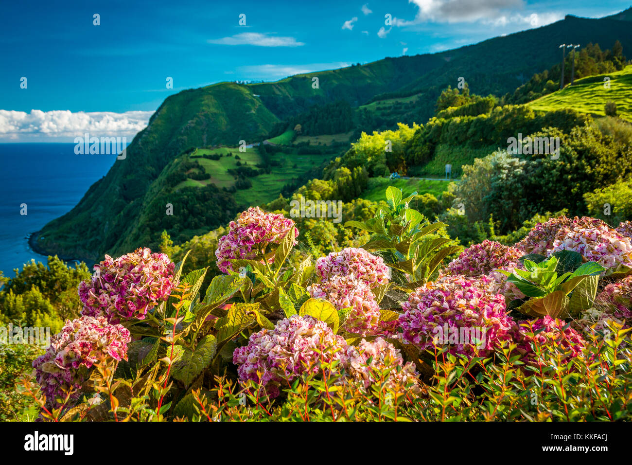 Beautiful view over green hills, meadows and mountains of Sao Miguel Island in Azores, Portugal Stock Photo