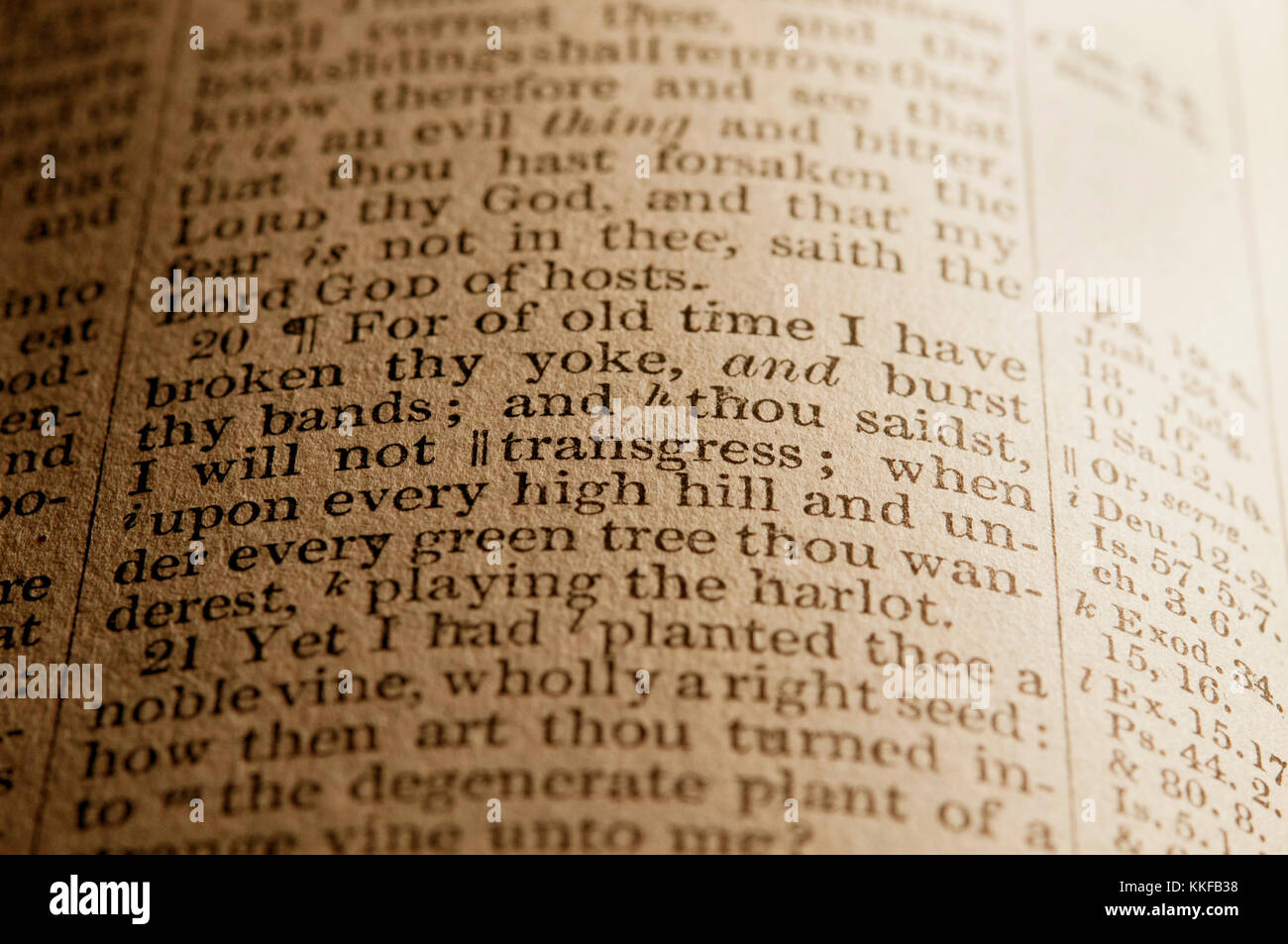 bible page background