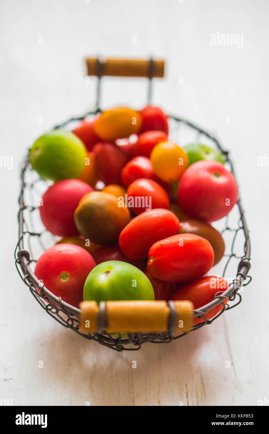Colorful Farm Raised Tomatoes Stock Photo
