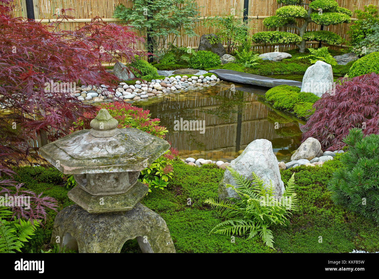 Garden in the style of a Japanese Tea Garden with traditional planting