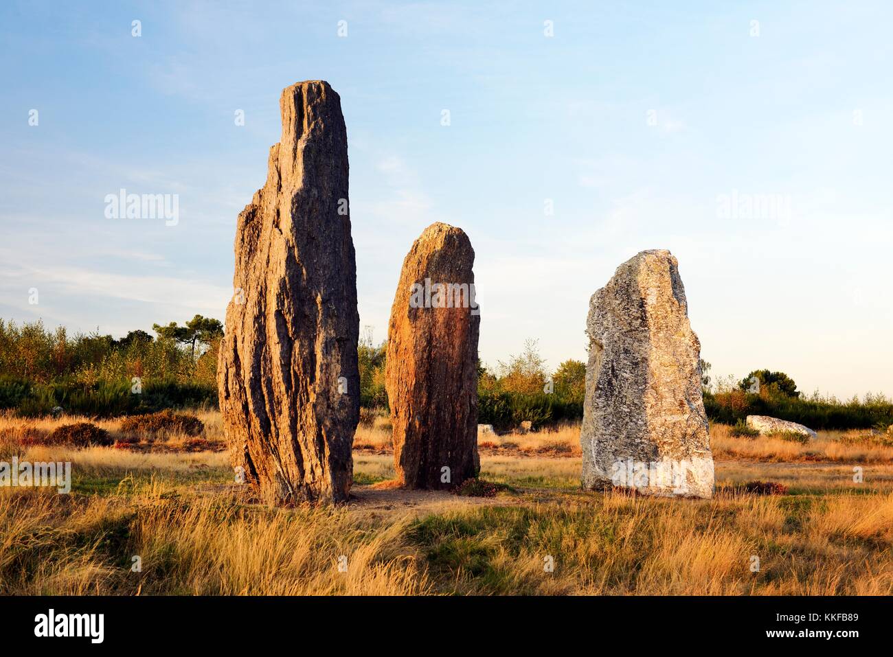 Landes de Cojoux, Saint-Just, Brittany. Part of the Moulin prehistoric menhir alignments on the east end of the Cojoux ridge Stock Photo