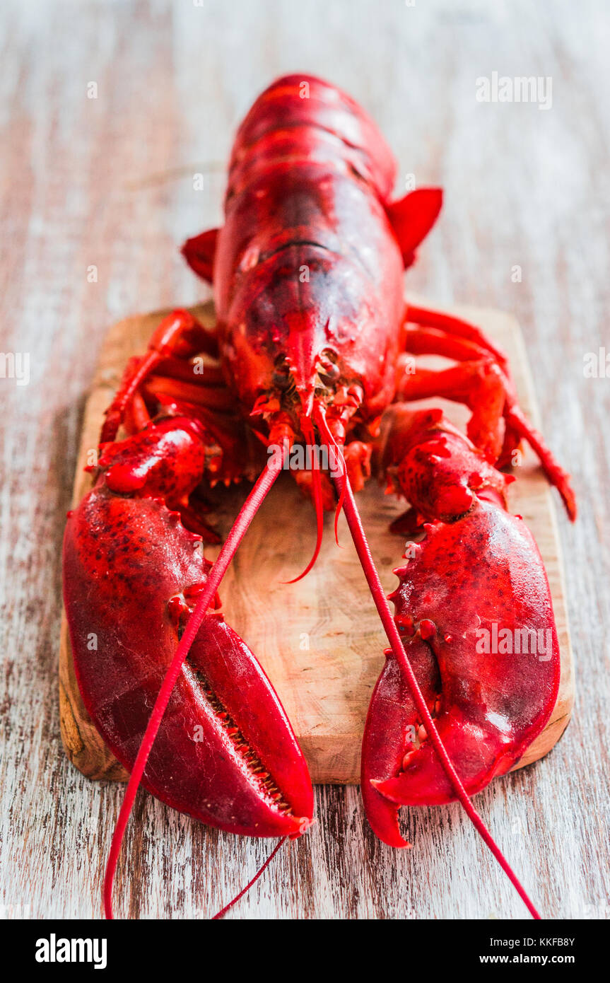 Cooked Lobster On Wooden Background Stock Photo