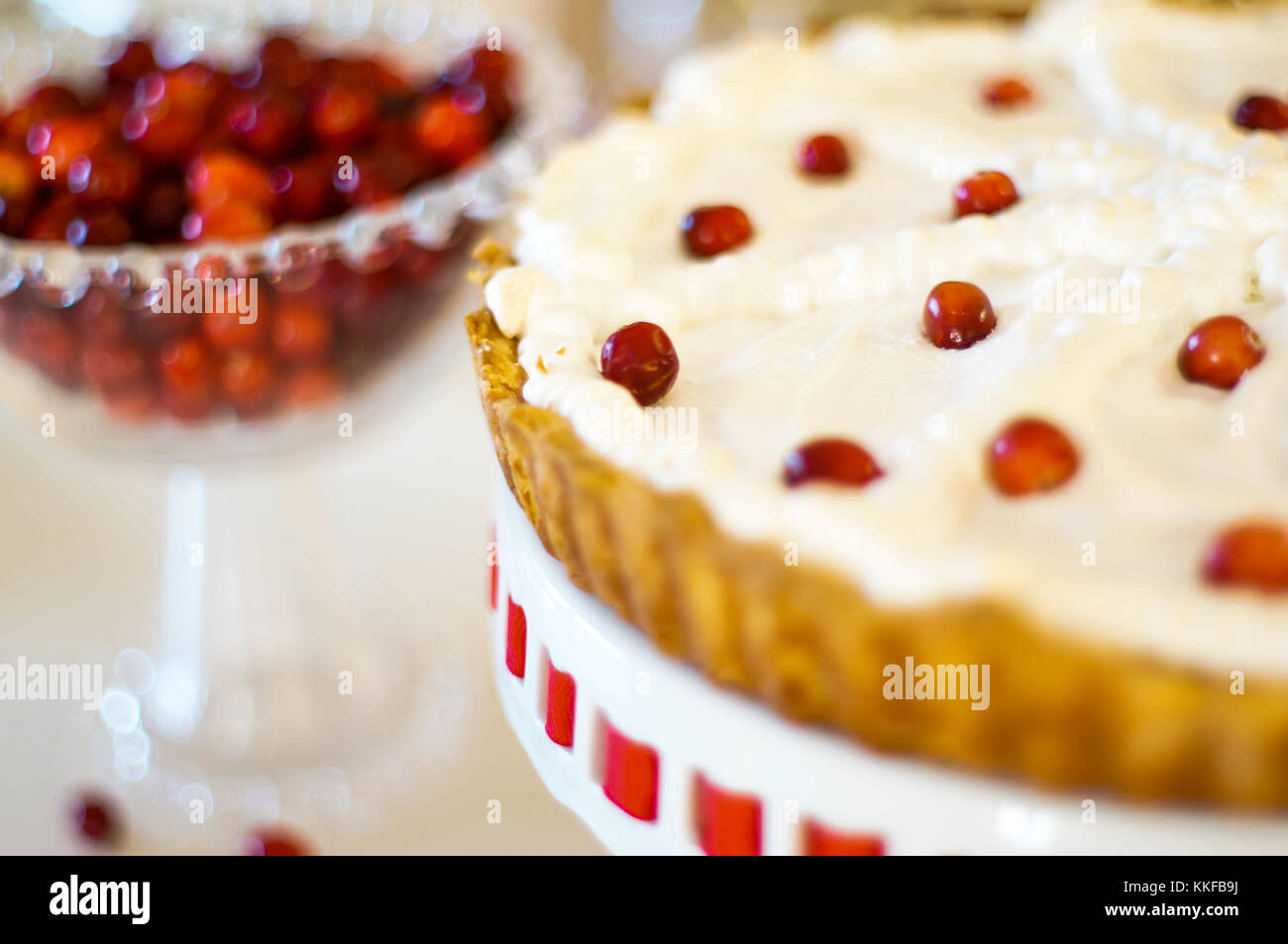Cranberry Cake Stock Photo