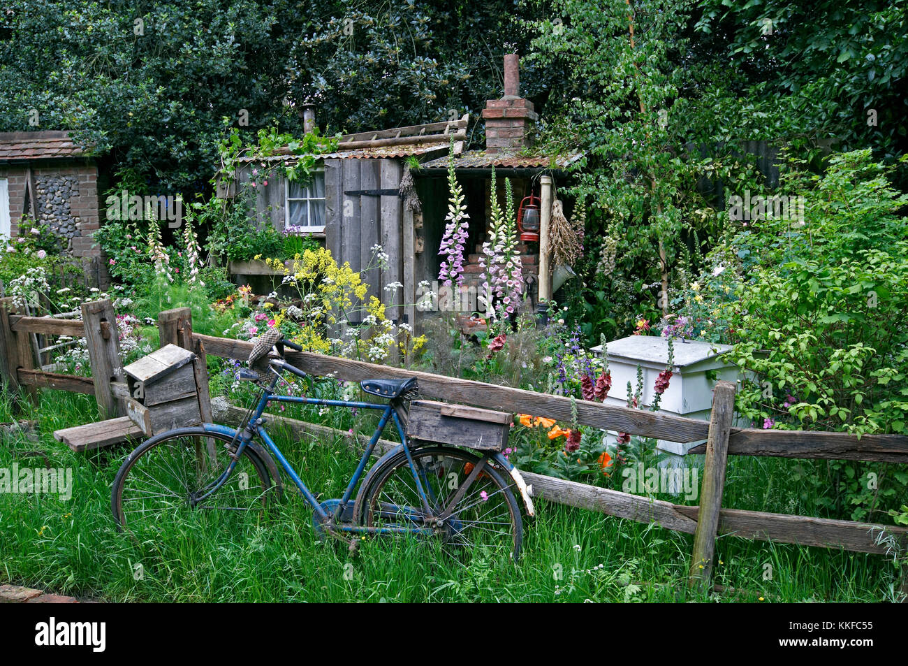 A wildflower garden of a Fenland Alchemist Stock Photo