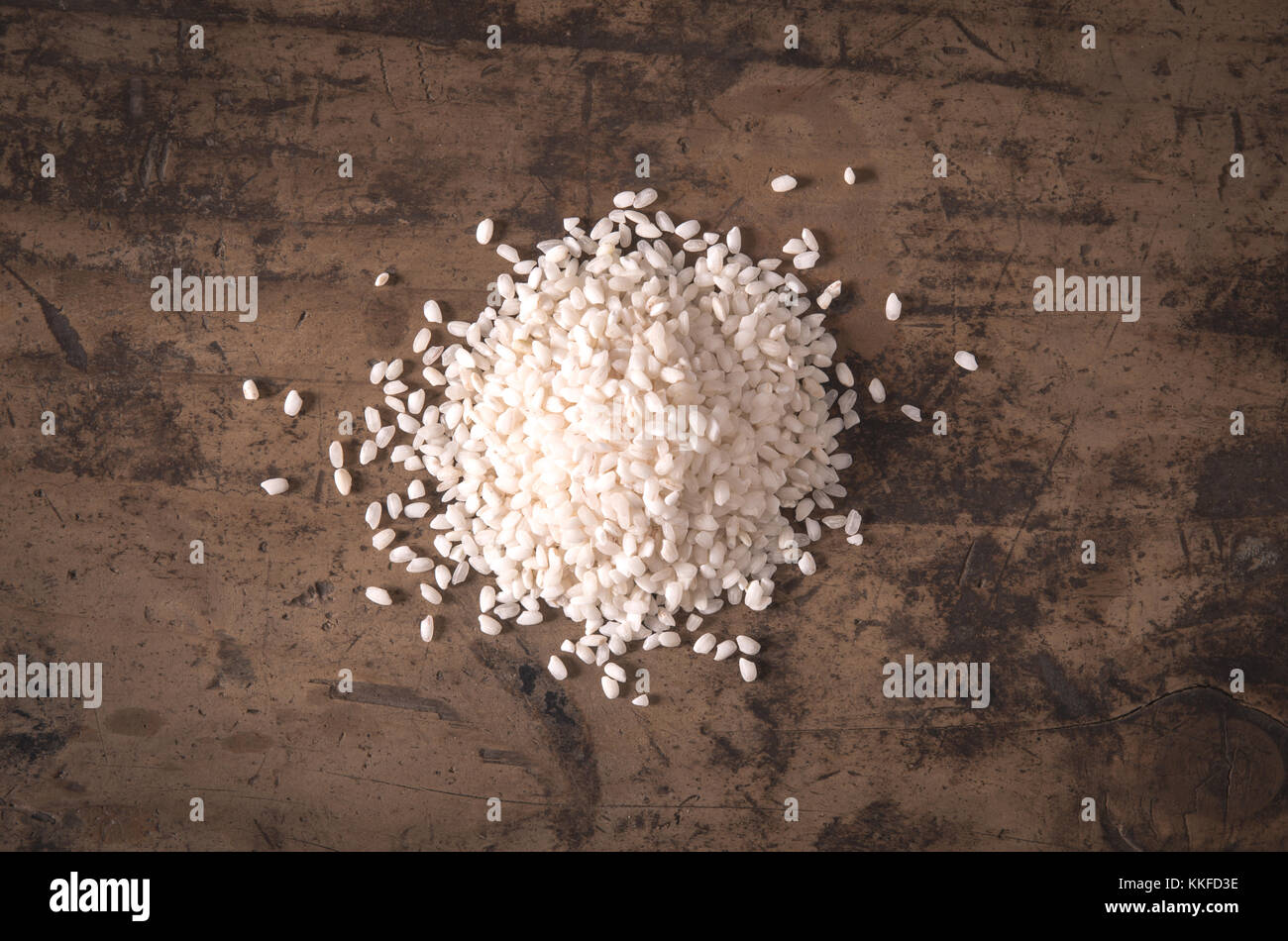 Vialone nano italian cultivar of small grain rice cultivated in south Lombardy Stock Photo