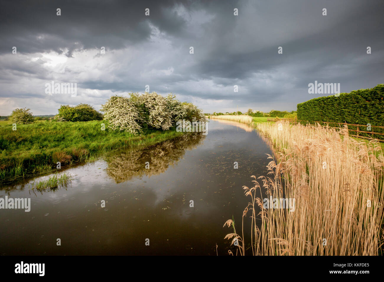 Dramatic storm light during the afternoon over the Royal Military Canal at Warehorne on the Romney Marsh, Kent, UK. Stock Photo