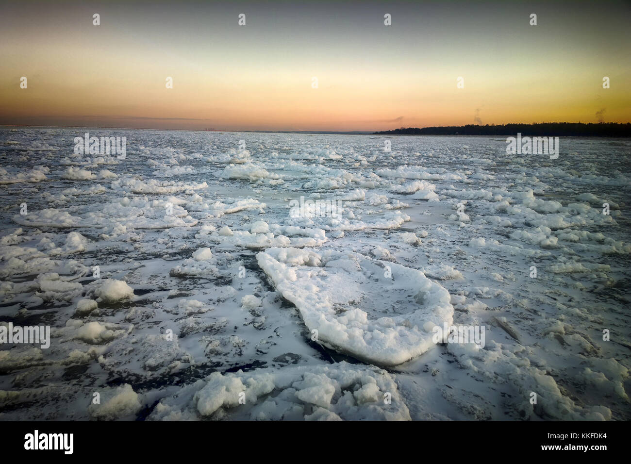 Beginning of winter on Baltic sea. Thin pancake ice (pan-agglomerated ice) frozen in mass Stock Photo