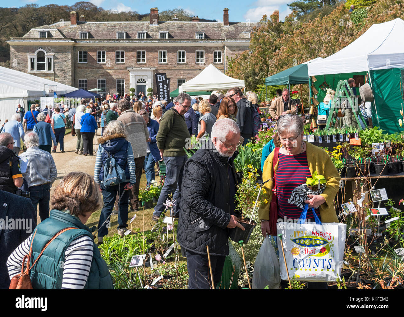 cornwall spring flower show at boconnoc house in cornwall, england, uk. Stock Photo