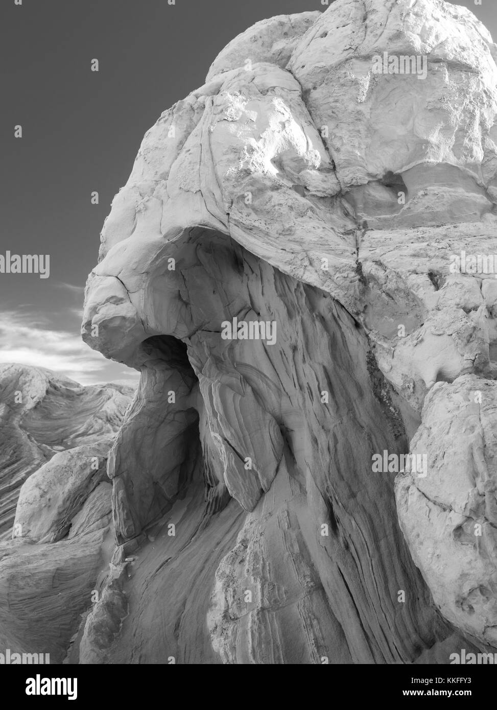 Rock detail at White Pocket, Paria Plateau, Vermilion Cliffs National Monument, Arizona. Stock Photo