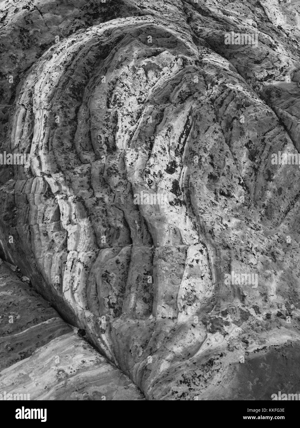 Rock detail at White Pocket, Paria Plateau, Vermilion Cliffs National Monument, Arizona. Stock Photo