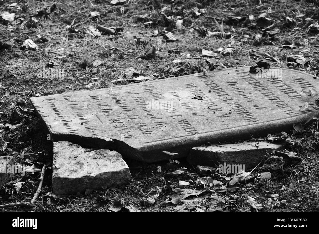 Lying amongst the scattered leaves of Autumn lie the broken pieces of a tombstone. Stock Photo