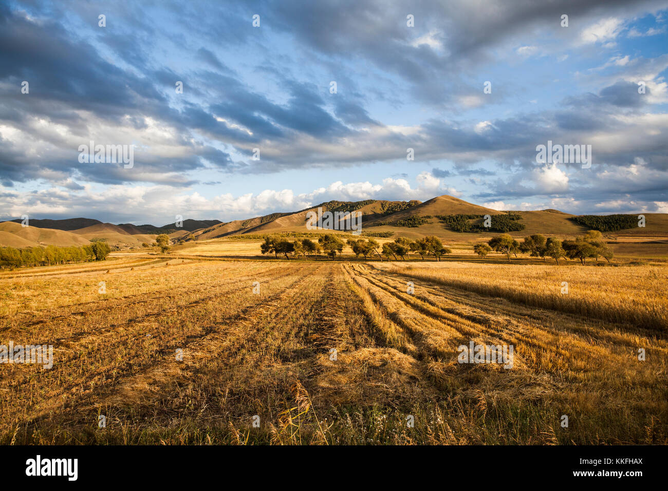 Rural scenery in Inner Mongolia province, China Stock Photo