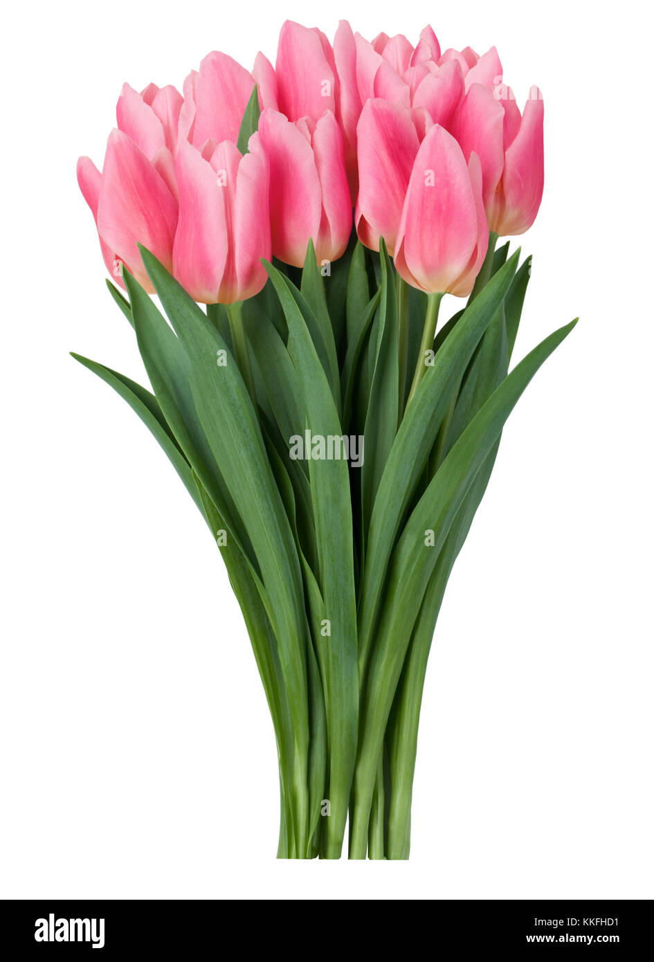 Pink tulips bouquet isolated on white background Stock Photo - Alamy