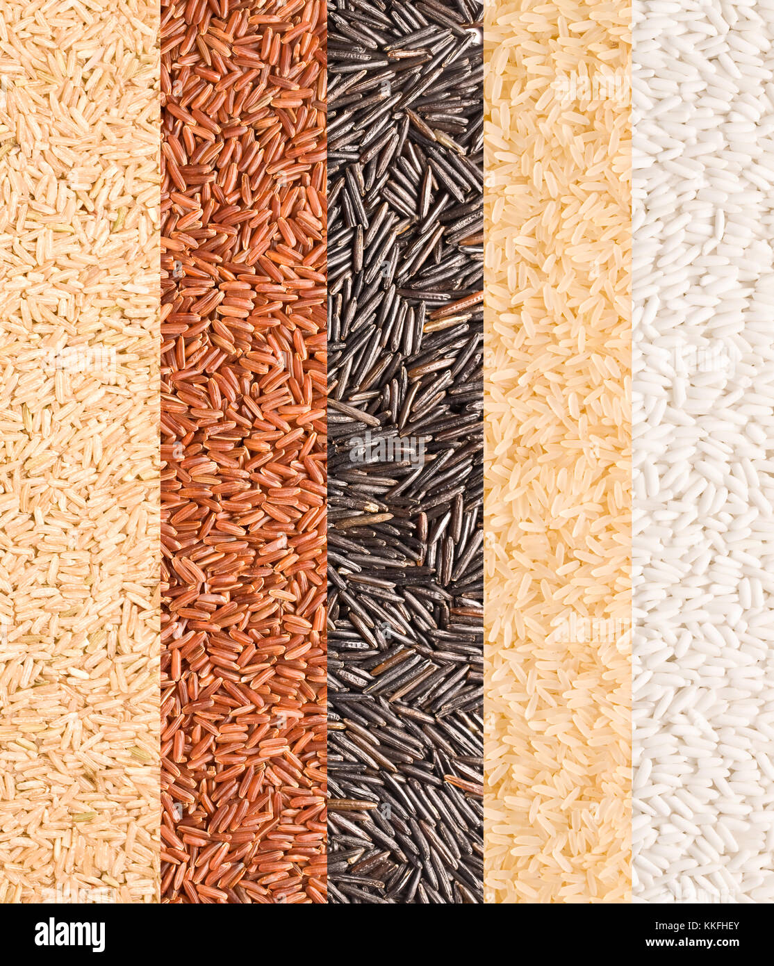 Close-up of rice variety from the world Stock Photo - Alamy