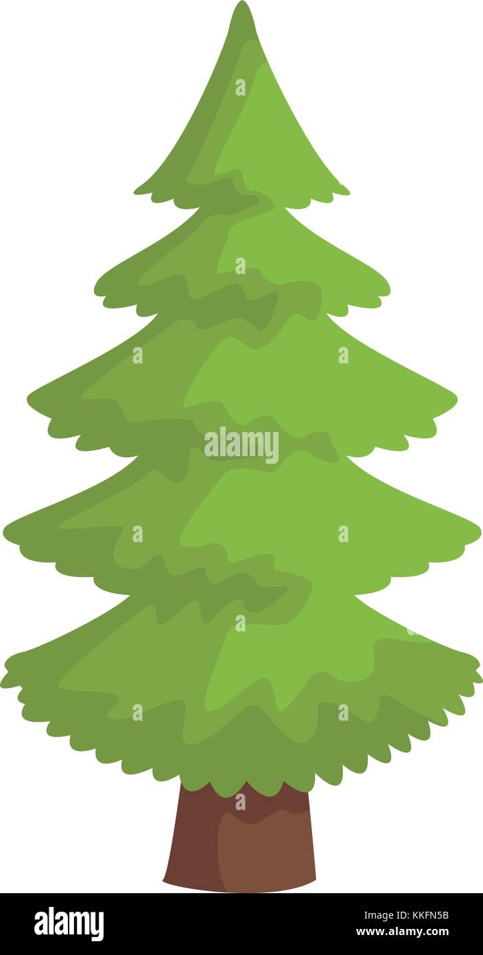 Tree pine isolated Stock Vector Image & Art - Alamy