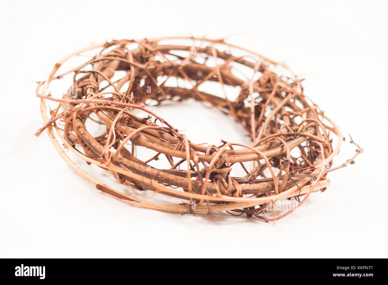 Crown of Thorns, as worn by Jesus Christ in the Easter Passion story during his Crucifixion, on a white background Stock Photo