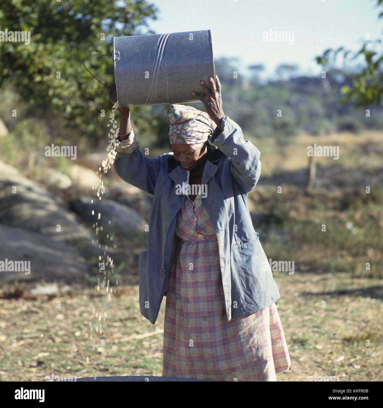 Woman working, Zimbabwe | usage worldwide Stock Photo - Alamy