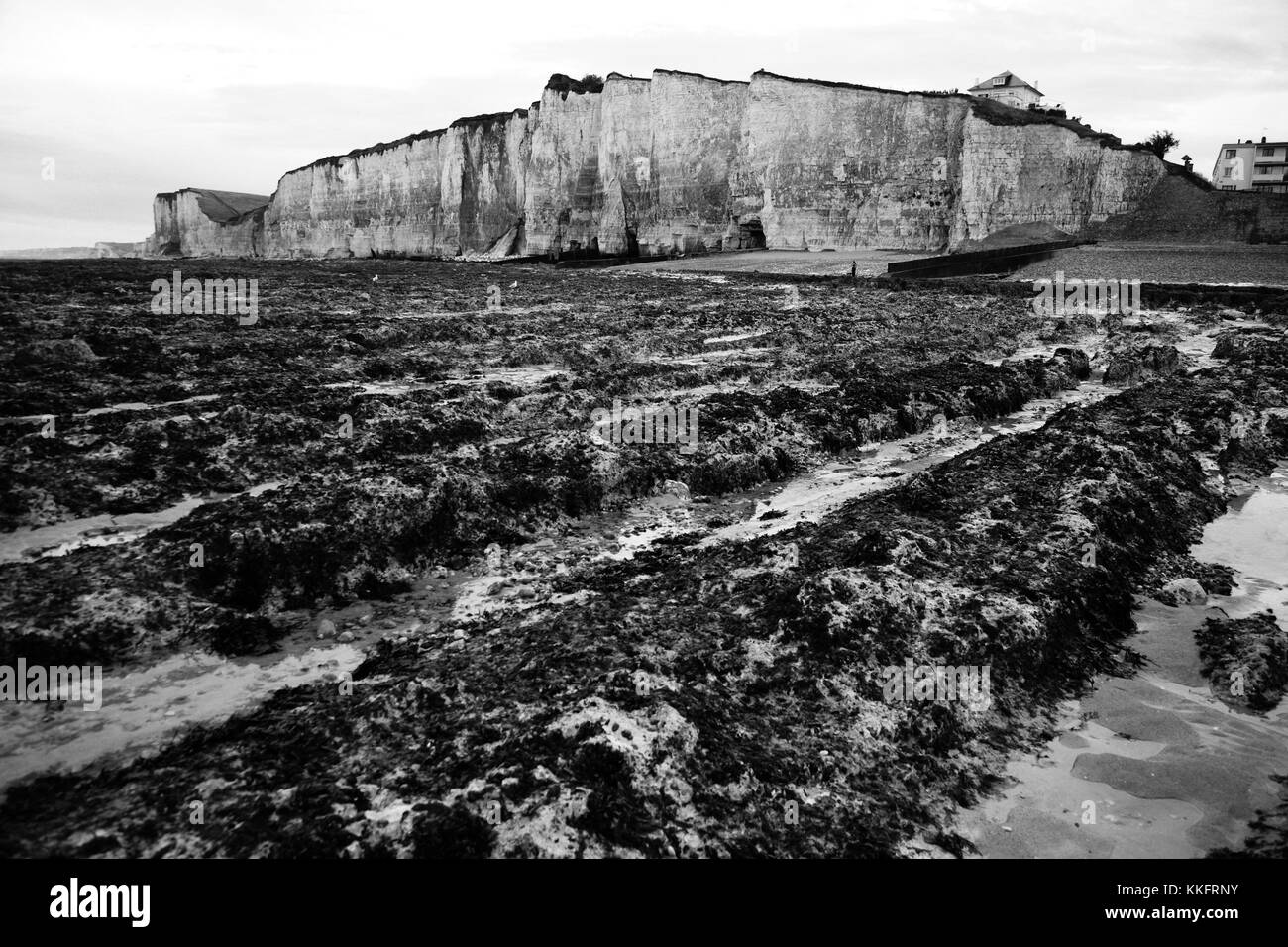 French Normandy Beach Invasion And Allied Landings In World