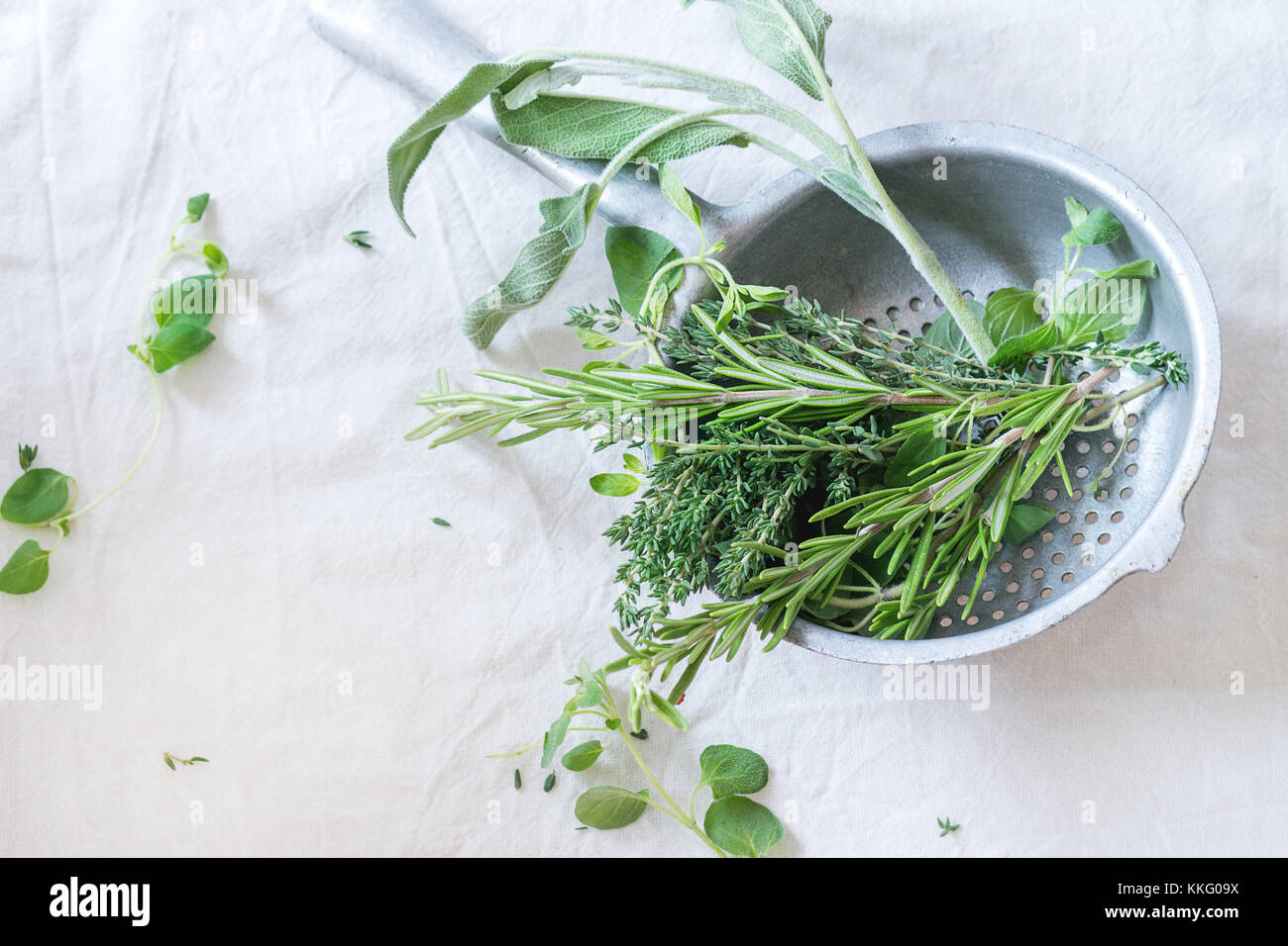 Assortment of fresh herbs thyme, rosemary, sage and oregano in old ...