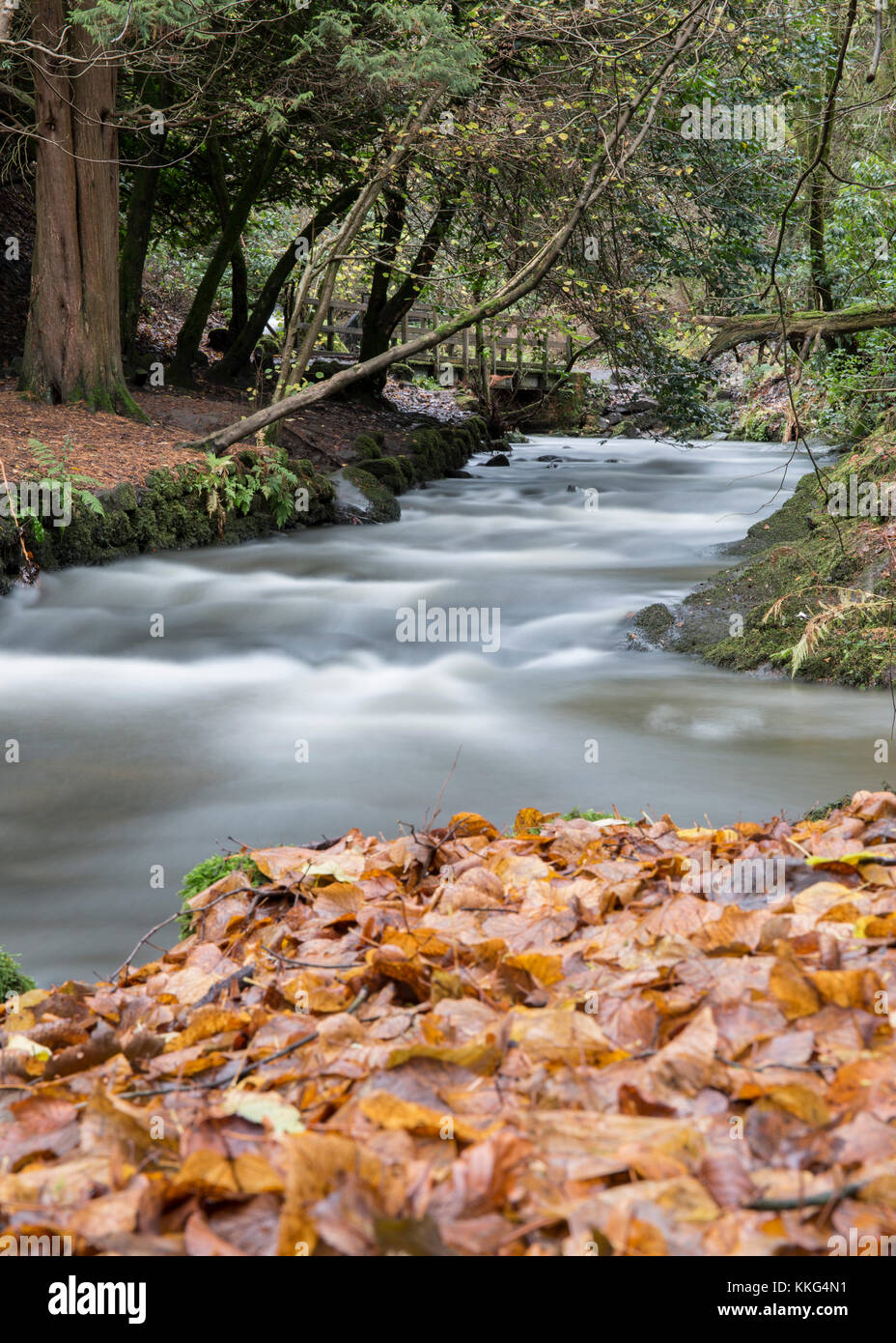 Rouken Glen Park. Glasgow. Scotland. Stock Photo