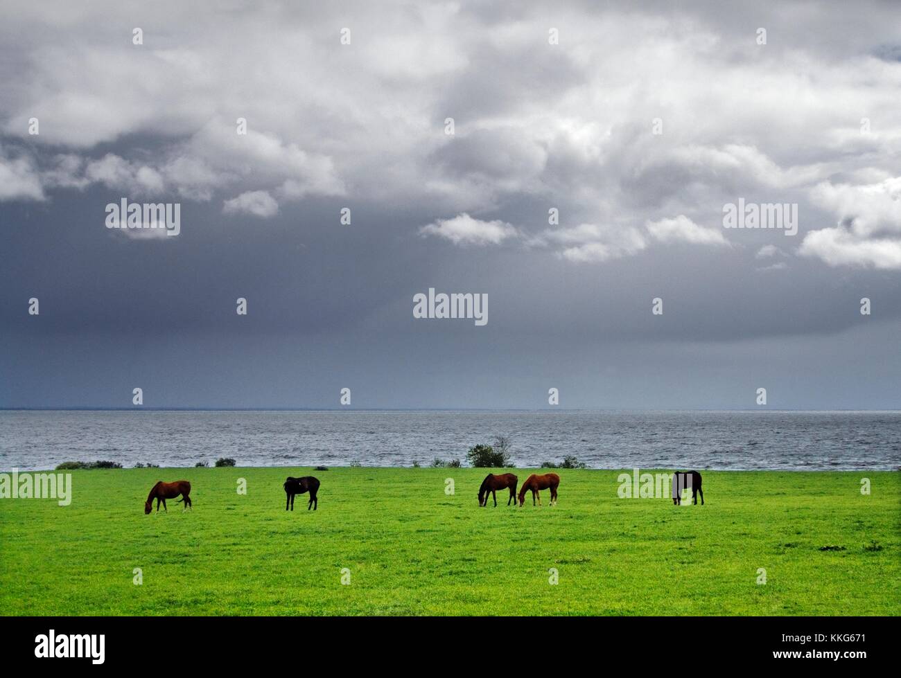 Rain showers cross Lough Neagh seen from The Battery on the west shore near Coagh, County Tyrone, Northern Ireland Stock Photo