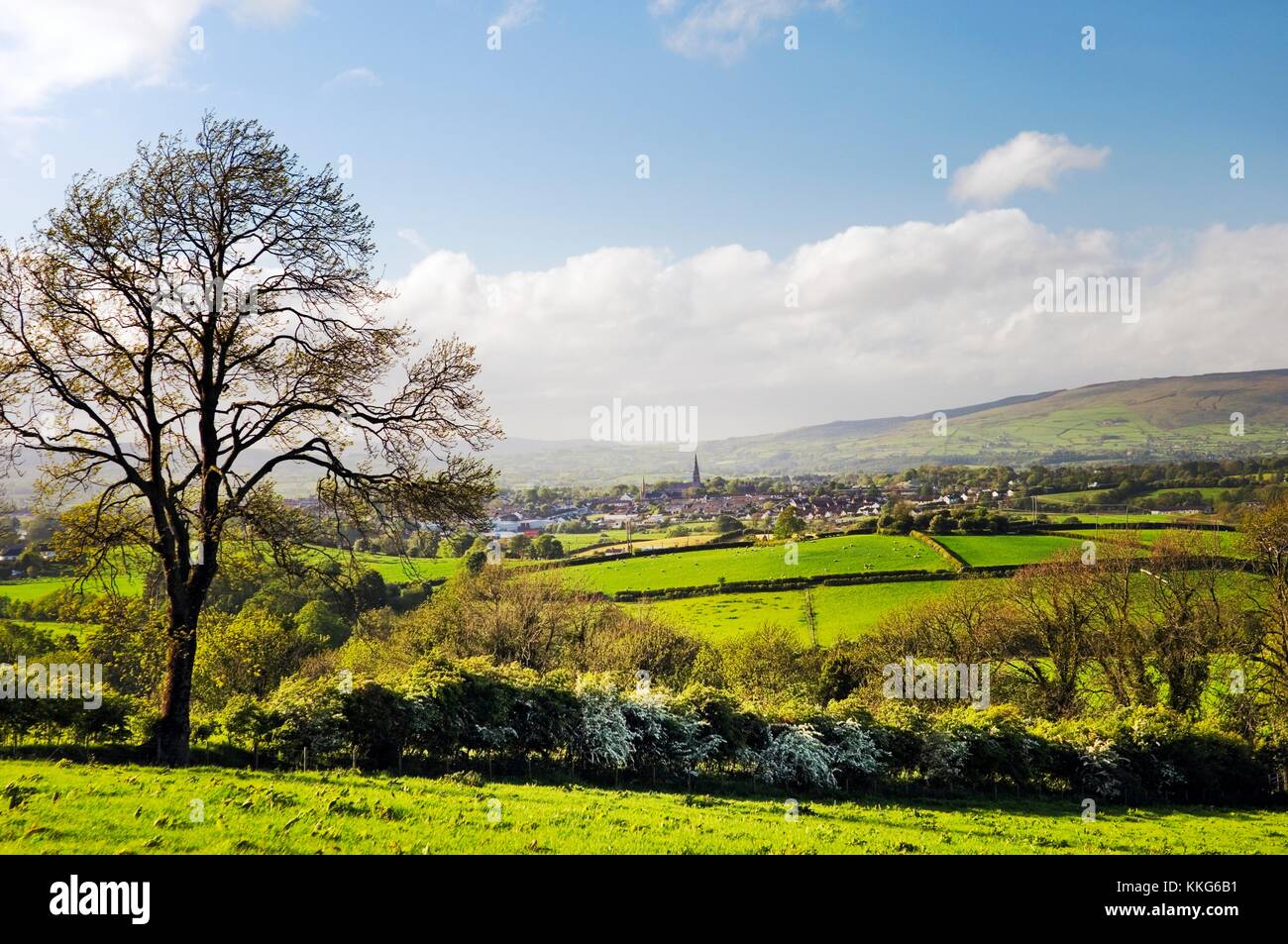N.W. to the slopes of Slieve Gallion over farmland and the Plantation town of Cookstown, which dates from 1609. County Tyrone. Stock Photo