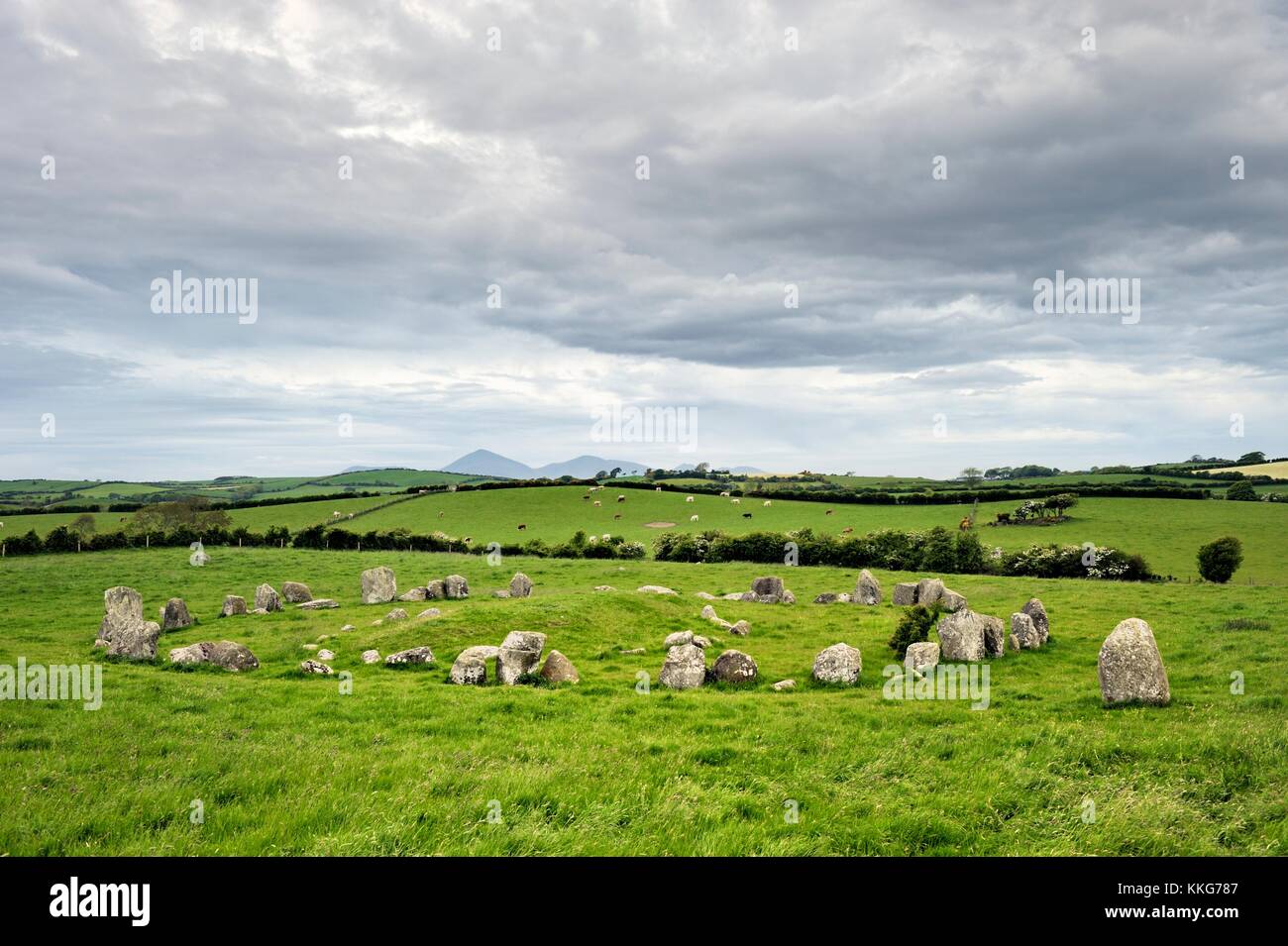 Ballynoe prehistoric Stone Circle. Downpatrick, Northern Ireland. Neolithic to Bronze Age. Aligned to Mourne Mountains behind Stock Photo