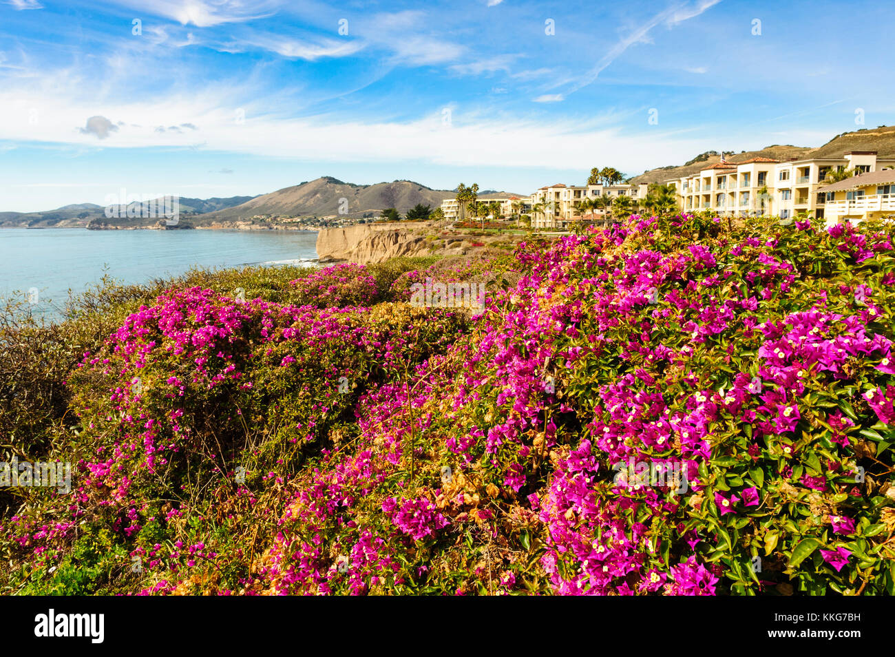 Pismo Beach, Shell Beach, oceanview from Spyglass Inn hotel on Highway 1, California, USA. Pink, magenta flowers in foreground. Stock Photo