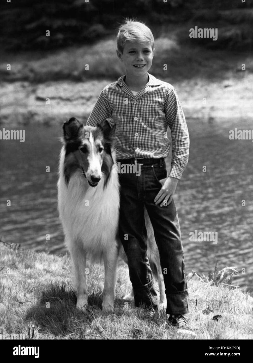 Jon Provost Lassie 1961 Stock Photo Alamy