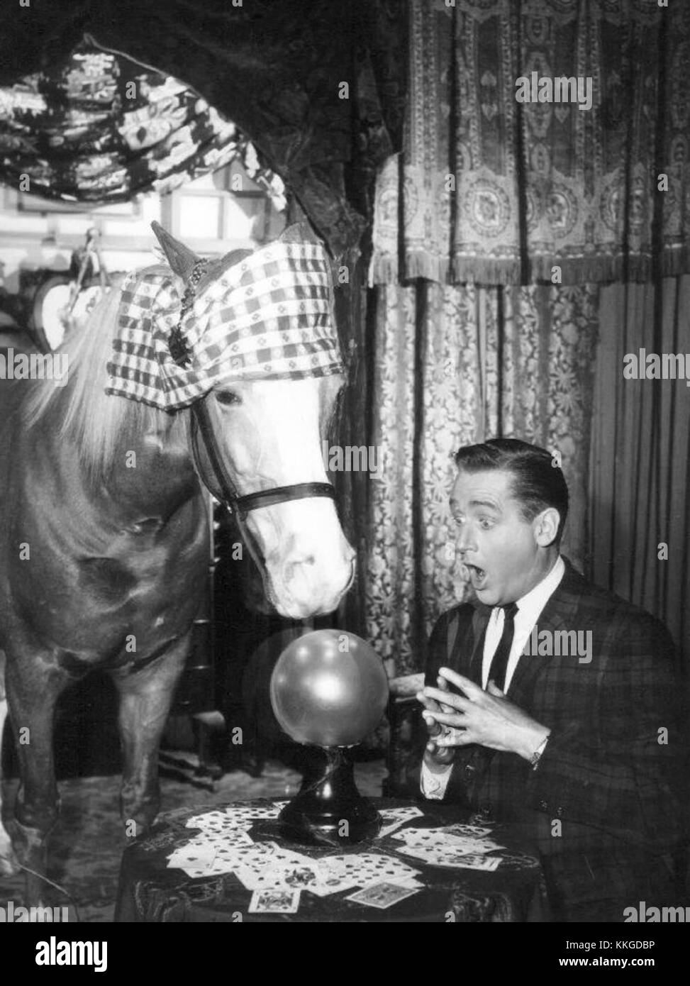 Alan Young Mister Ed 1964 Stock Photo Alamy