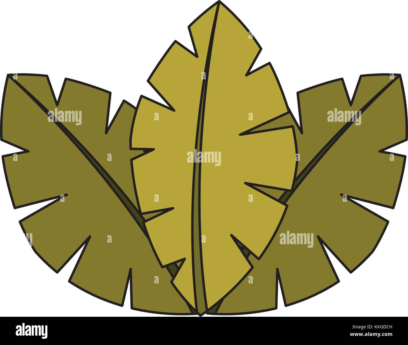 tropical leaves of palm tree flora image Stock Vector Image & Art - Alamy