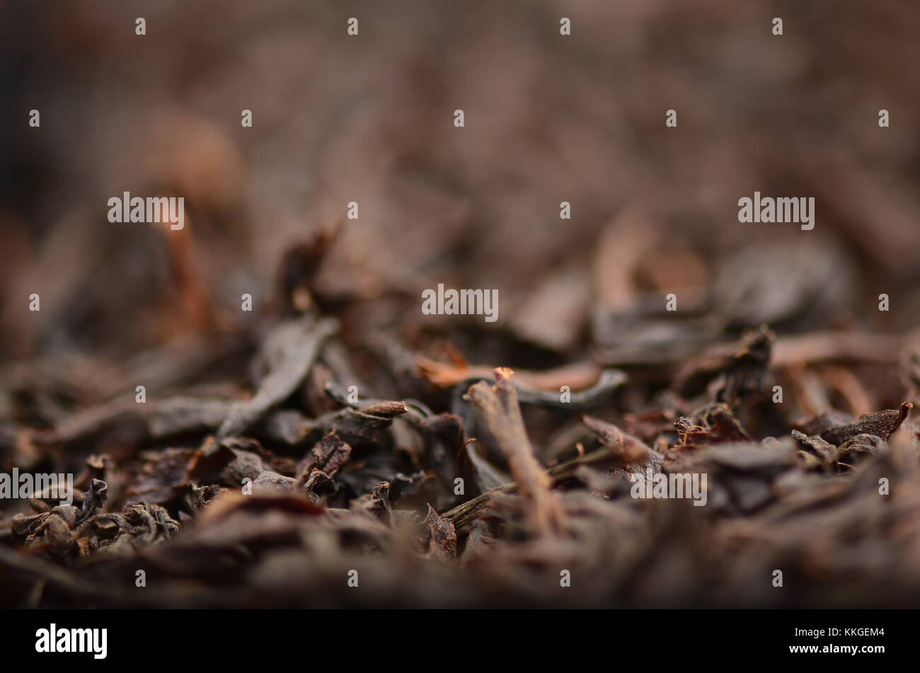 Loose dried tea leaves, close-up, narrow depth of field. Stock Photo