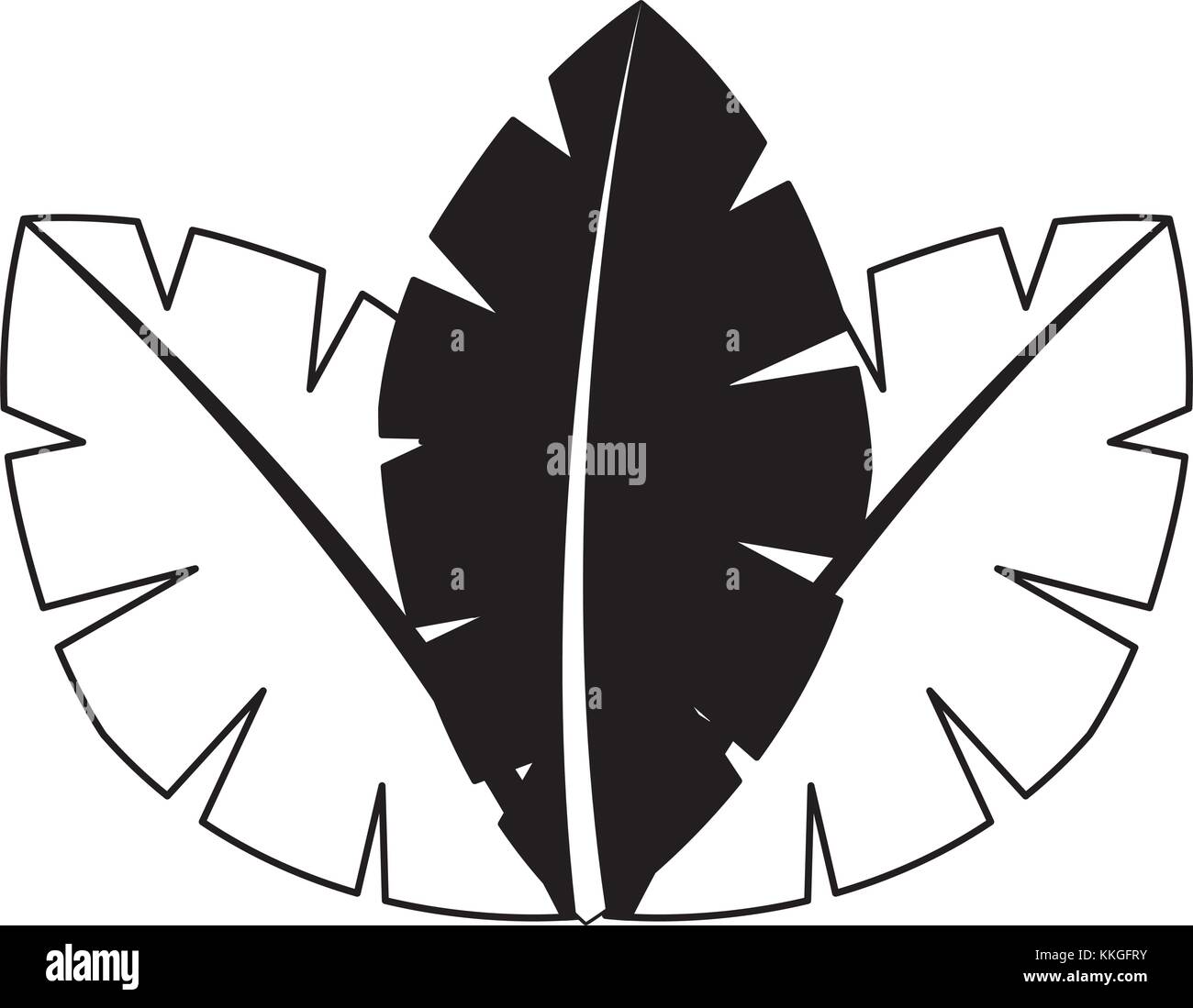 tropical leaves of palm tree flora image Stock Vector Image & Art - Alamy