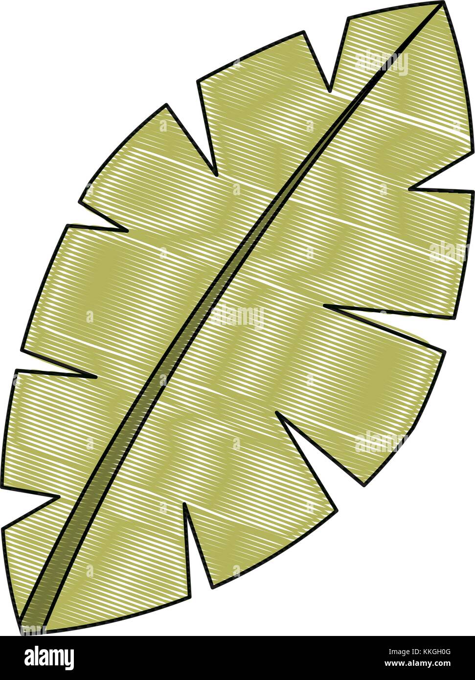 leaf palm tree foliage natural image Stock Vector Image & Art - Alamy