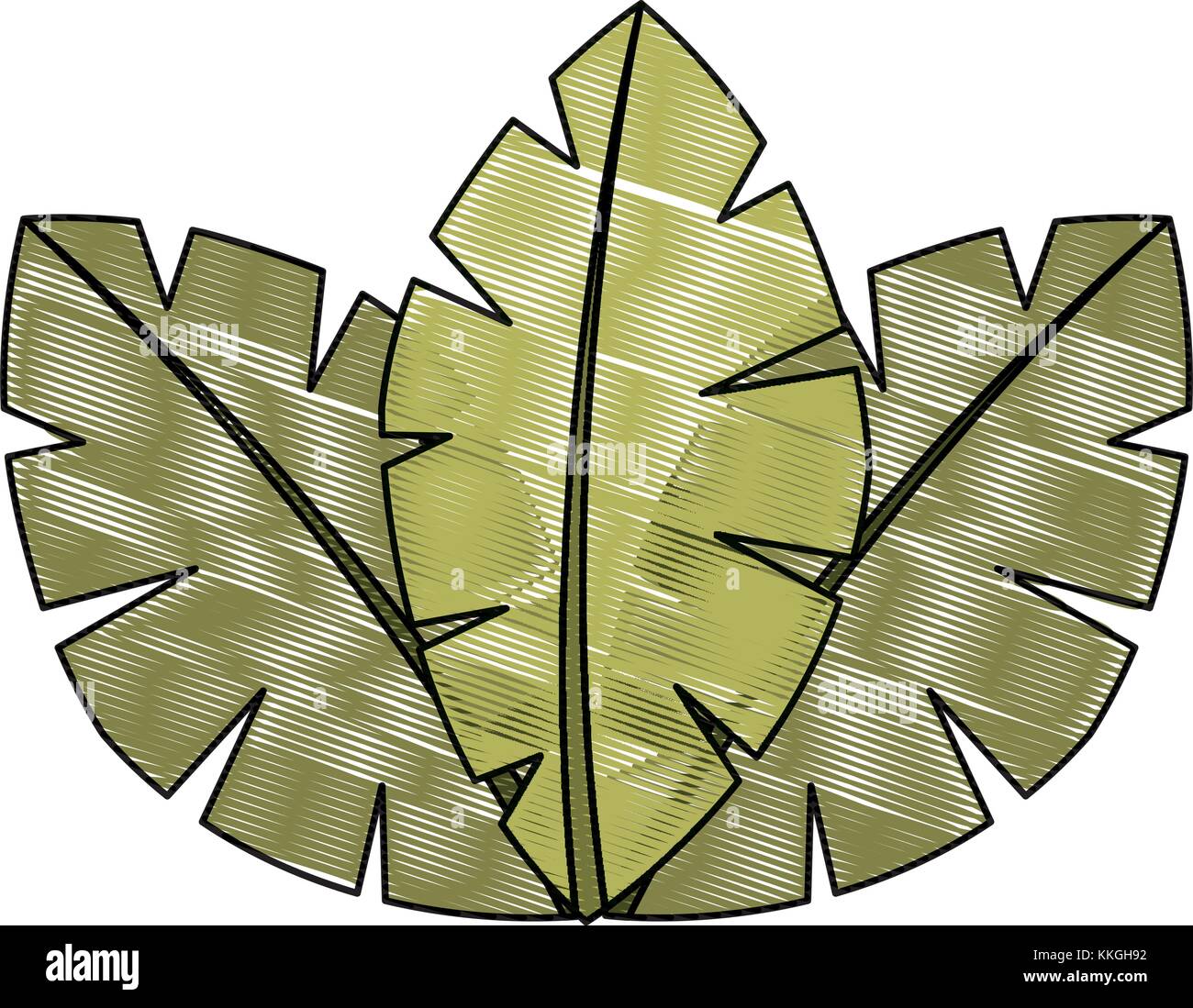tropical leaves of palm tree flora image Stock Vector Image & Art - Alamy