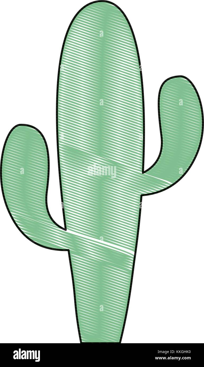 cactus plant desert succulent botanical Stock Vector Image & Art - Alamy