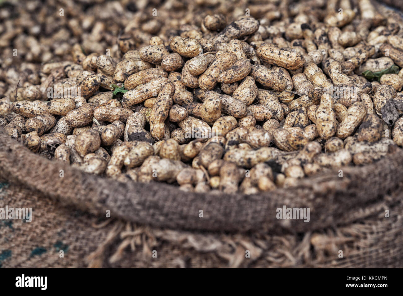 peanuts for sale on market Stock Photo Alamy