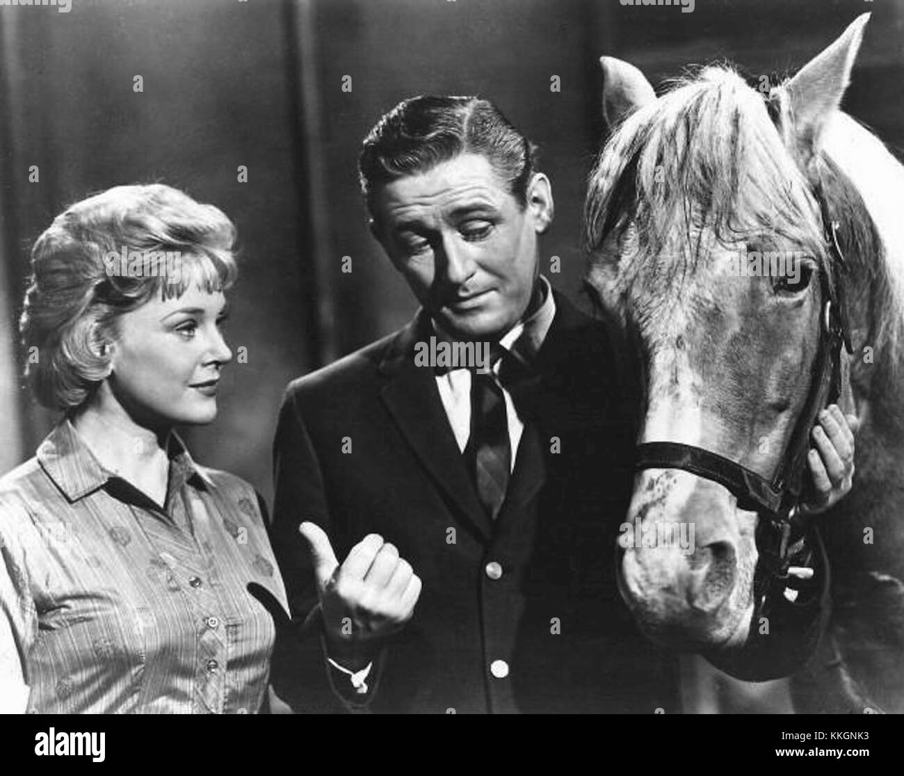 Mister Ed, an American television show from the 1960s, featured a ...