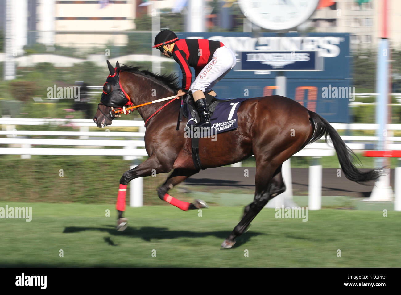 Longines international racing festival hi-res stock photography and ...